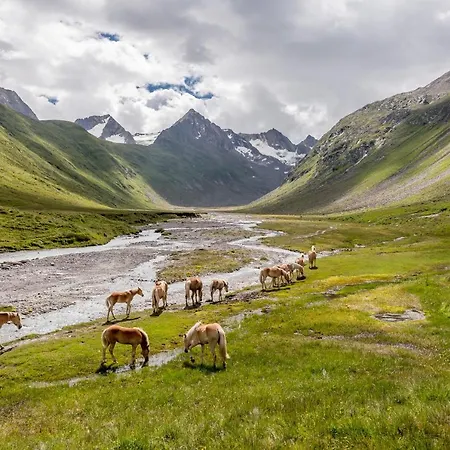 Pensjonat Michael 3*